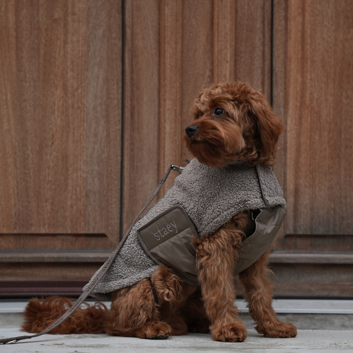 Staey - Hondenjas Teddy | Taupe