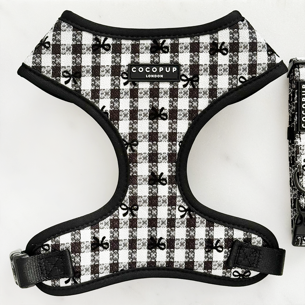Harnas Paris - Cocopup London