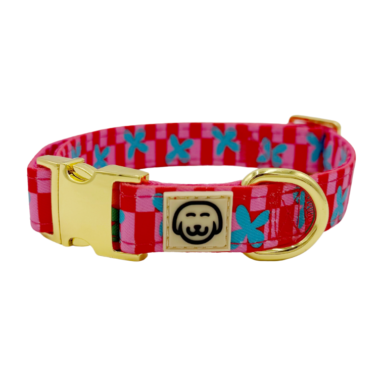 Supernova Hondenhalsband - Molly & Co – Halsband van Molly & Co. | Hondenboetiek