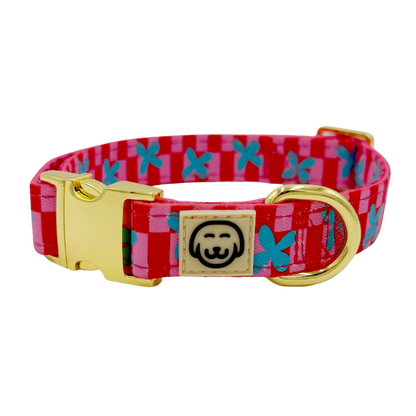 Supernova Hondenhalsband - Molly & Co – Halsband van Molly & Co. | Hondenboetiek