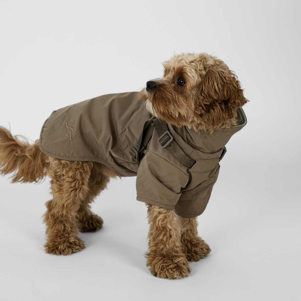 Staey - Leva regenjas voor honden met harnas | Taupe
