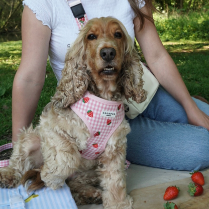 Aardbeien Picknick Harnas - Cocopup London