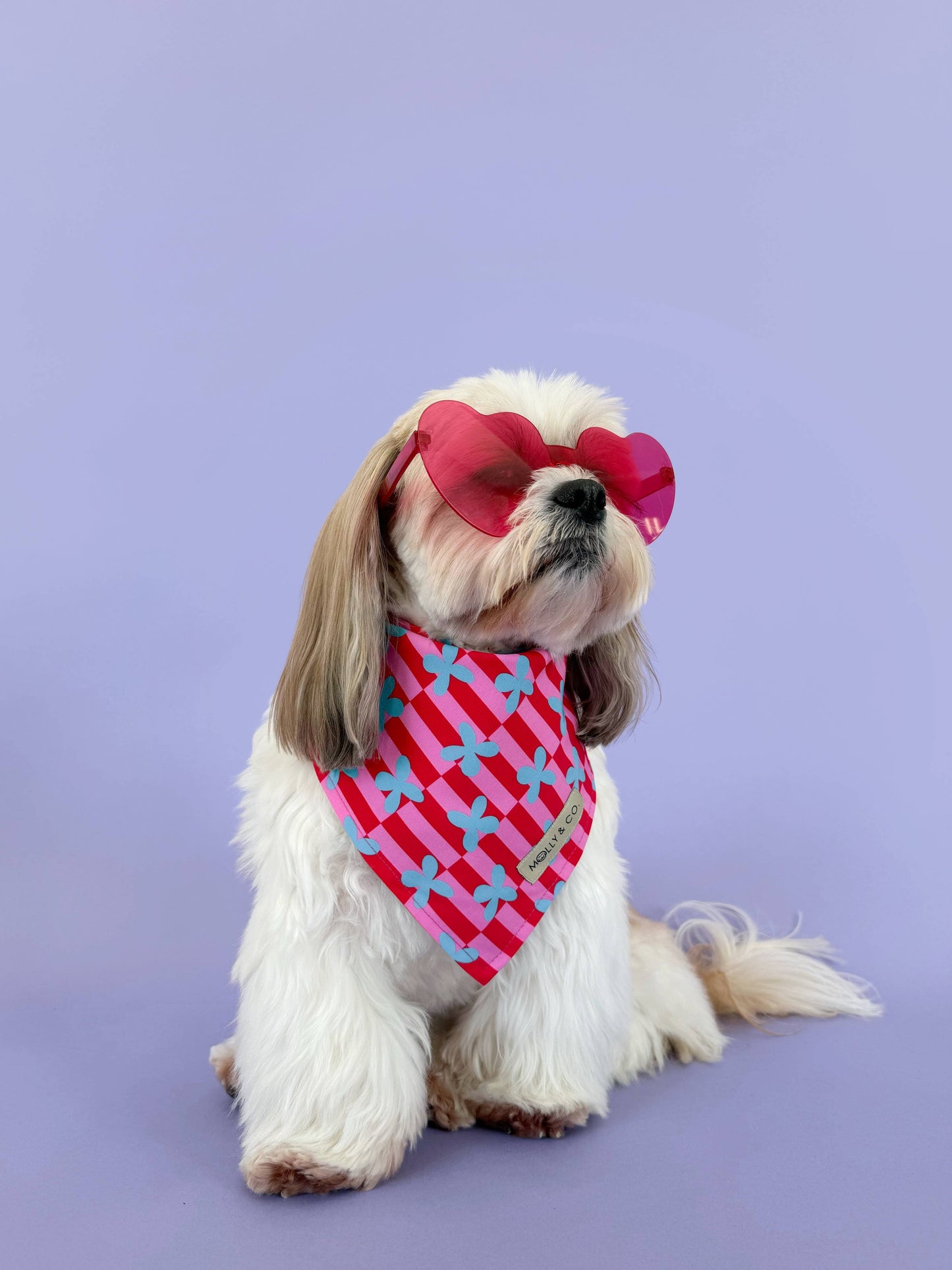 Supernova Bandana (Omkeerbaar) - Molly & Co.