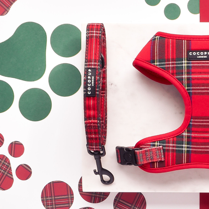 Tartan Leiband Rood - Cocopup London