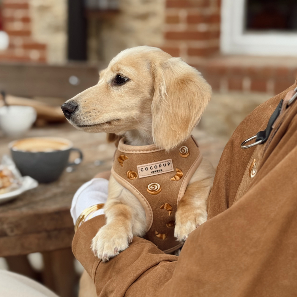 Pawtisserie Harnas - Cocopup London