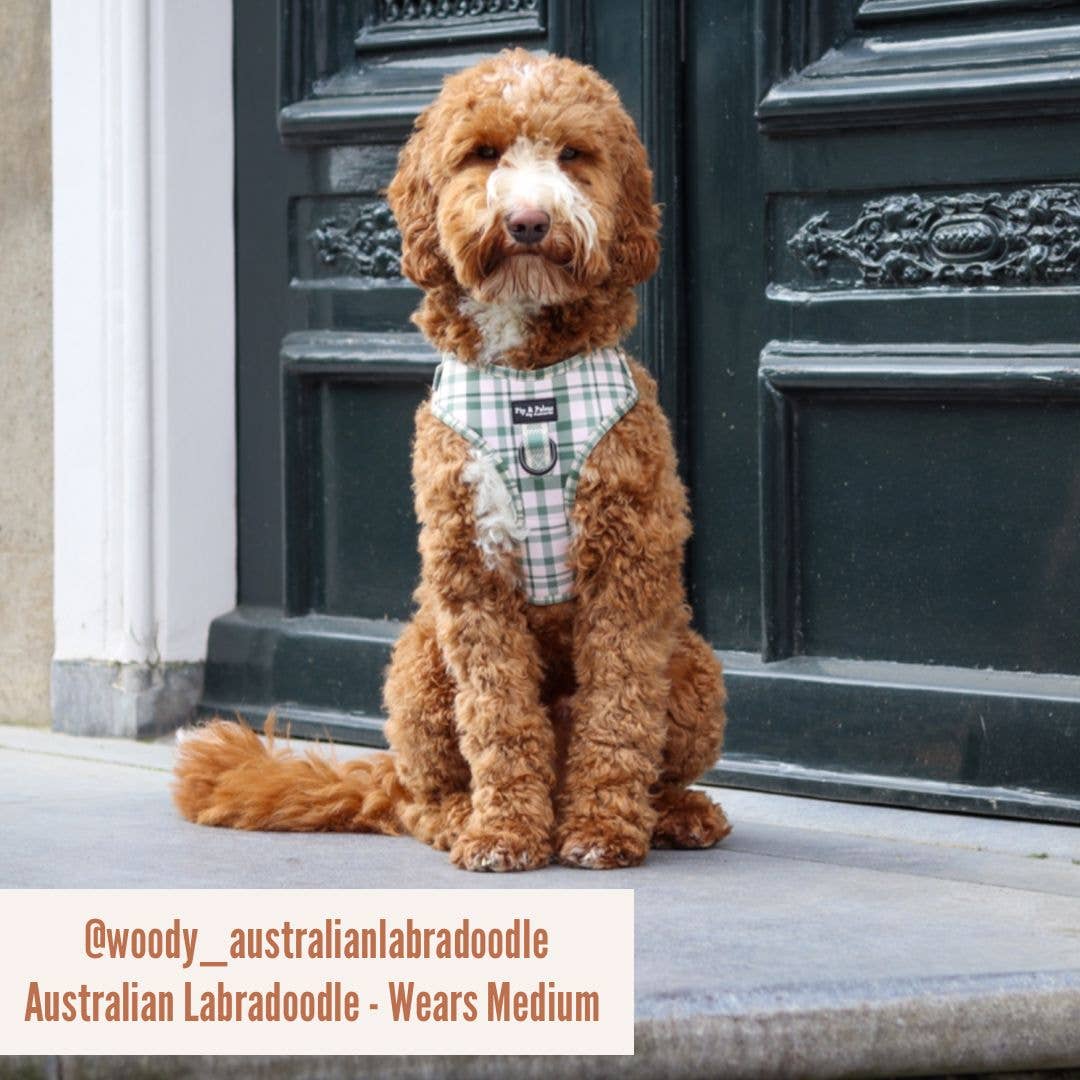 Harnas Perfect Picnic