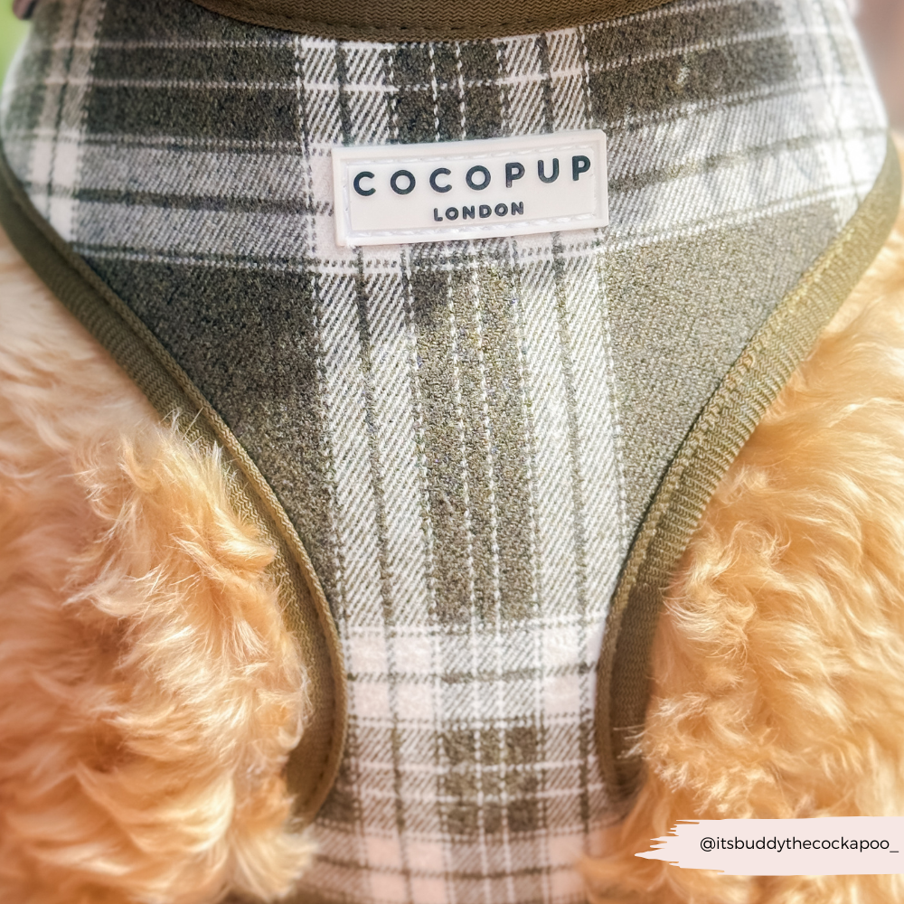 Olijfgroene Plaid Harnas - Cocopup London