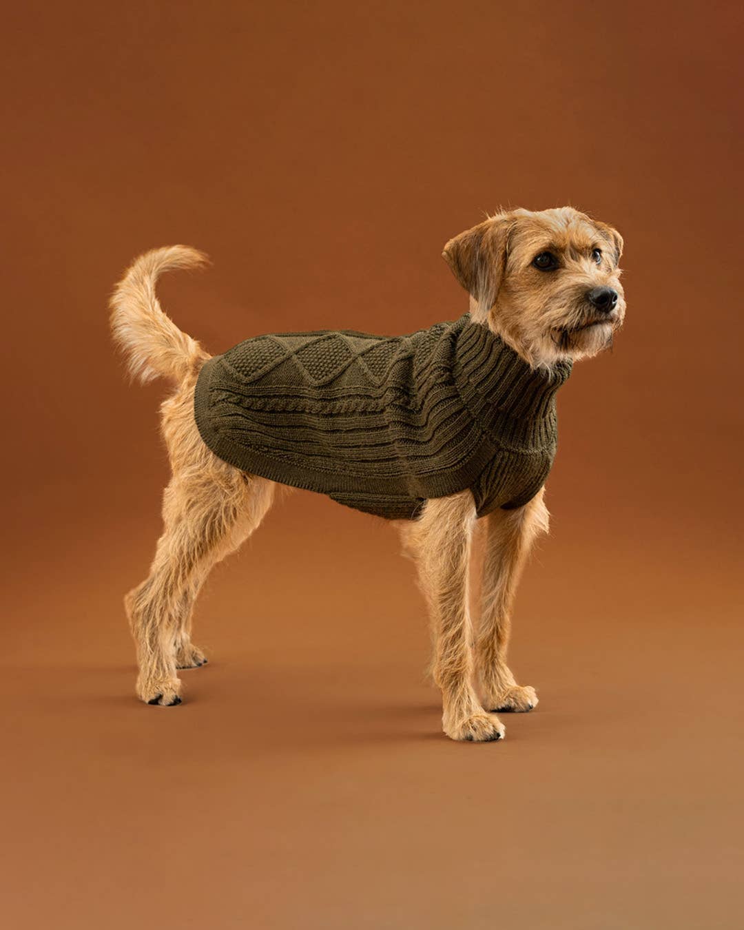 Aran gebreide alpaca trui - Forest Green
