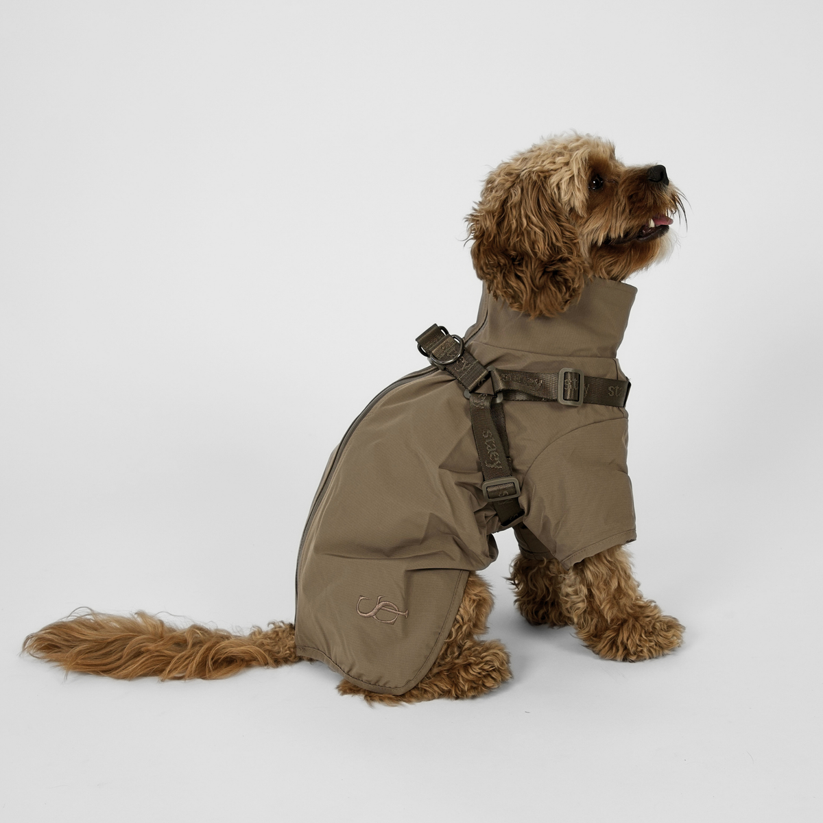 Staey - Leva regenjas voor honden met harnas | Taupe