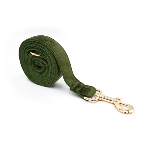 Leiband Militair Groen