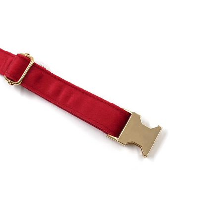 Velvet Halsband Rood