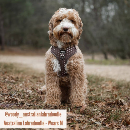 Harnas Choco Loco Love