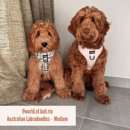 Harnas Perfect Picnic