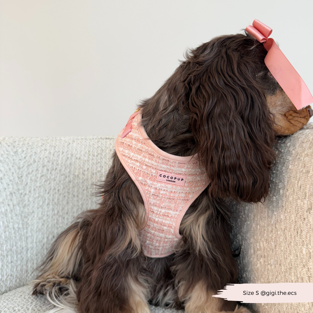 Tweed Roze Harnas - Cocopup London
