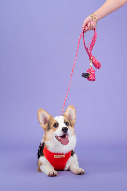 Wildflower Leiband - Molly & Co.