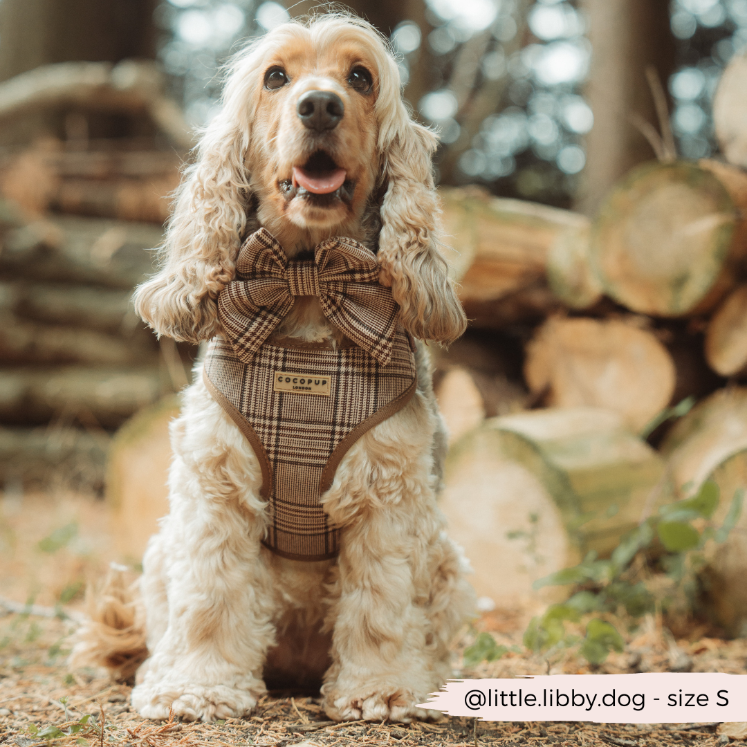 Harnas Pup Plaid - Cocopup London