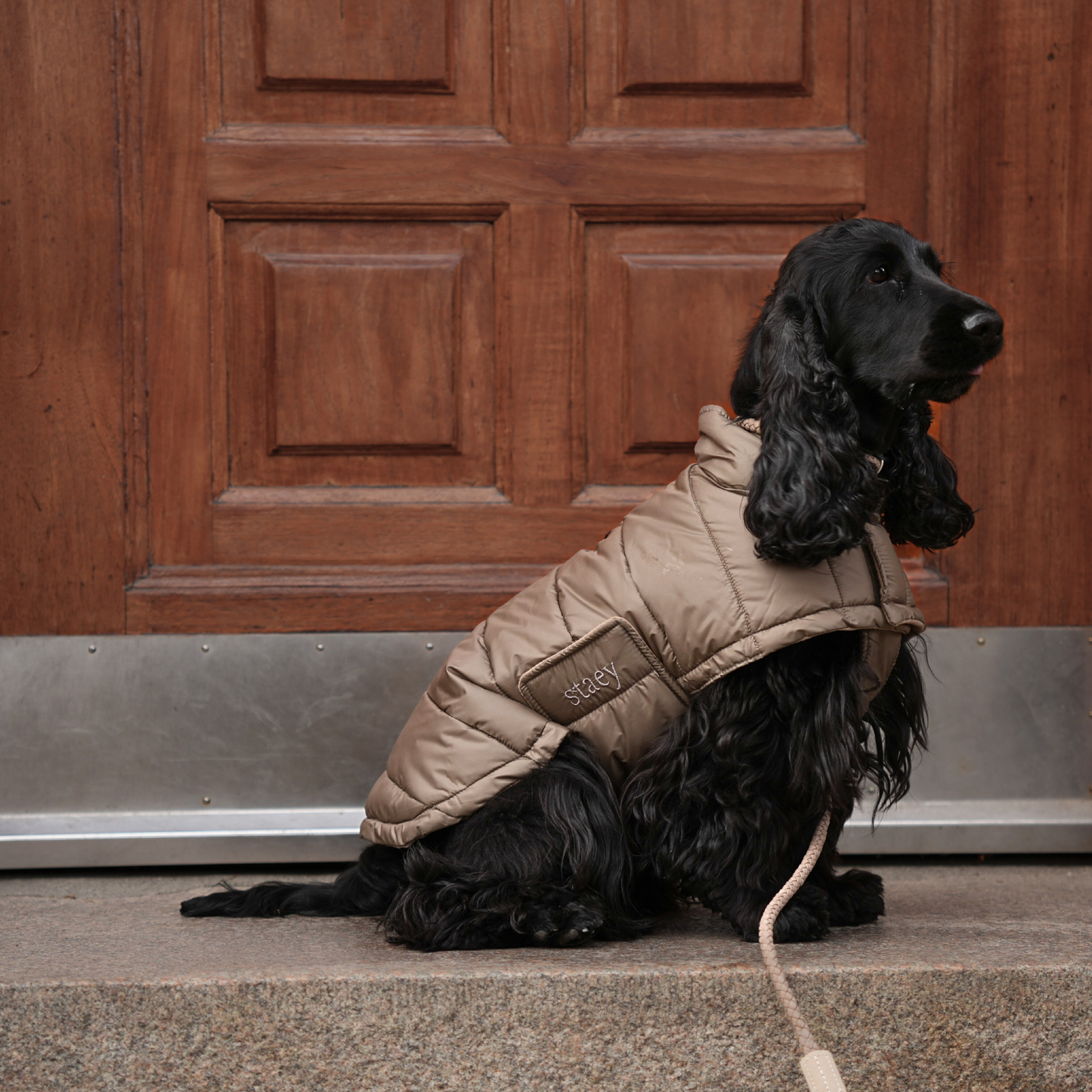 Staey - Dog Coat Nora in taupe