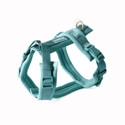 Comfort Hondenharnas — Blauw
