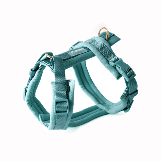 Comfort Hondenharnas — Blauw