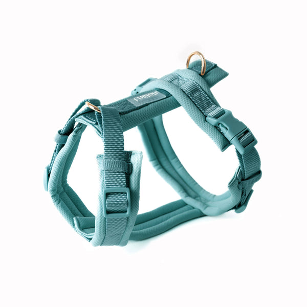 Comfort Hondenharnas — Blauw