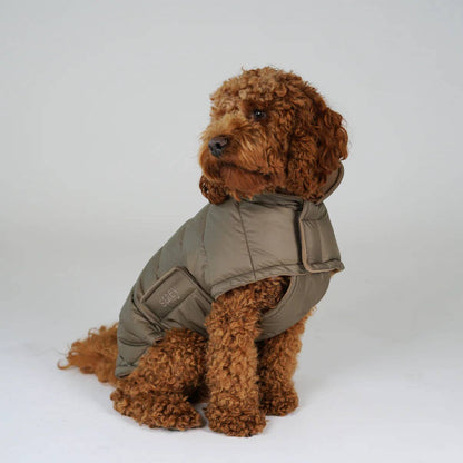 Staey - Dog Coat Nora in taupe