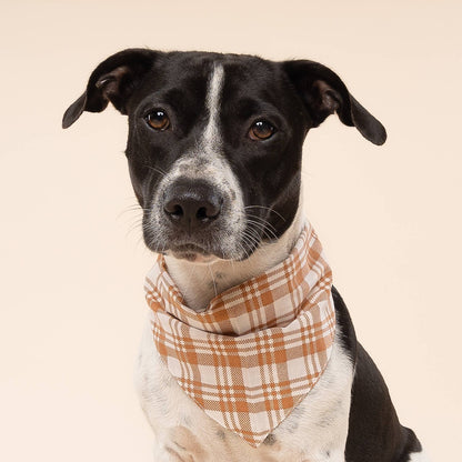 hondenbandana met geruit patroon Gemberkleur