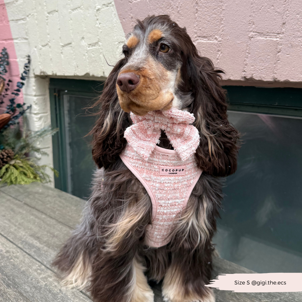 Tweed Roze Harnas - Cocopup London
