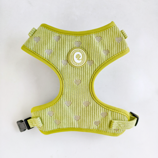 Corduroy Heart Harnas - Groen