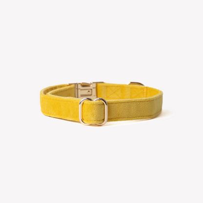 Fluwelen Halsband Geel - Furlou – Halsband van Furlou | Hondenboetiek (afbeelding 3)