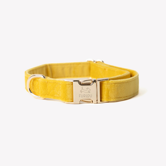 Fluwelen Halsband Geel - Furlou – Halsband van Furlou | Hondenboetiek