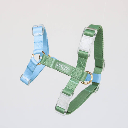 Furlou Harnas - Blue/Sage Green – Leiband van Furlou | Hondenboetiek