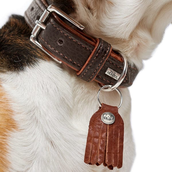 Leren Halsband Cody - Donkerbruin – Halsband van Hunter | Hondenboetiek (afbeelding 3)