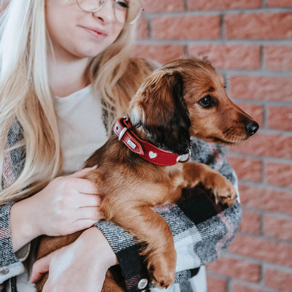 Leren halsband Love - Rood – Halsband van Hunter | Hondenboetiek (afbeelding 5)