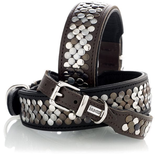 Halsband Arizona - Zwart