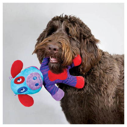 KONG Switcheroos Assorti