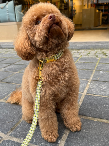 Halsband Carre Green