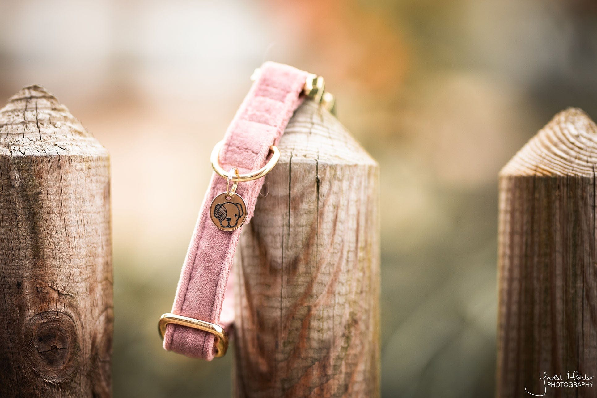 Halsband Velvet - Oud Roze – Halsband van Kentucky Dogwear | Hondenboetiek (afbeelding 3)