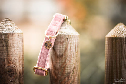 Halsband Velvet - Oud Roze – Halsband van Kentucky Dogwear | Hondenboetiek (afbeelding 3)