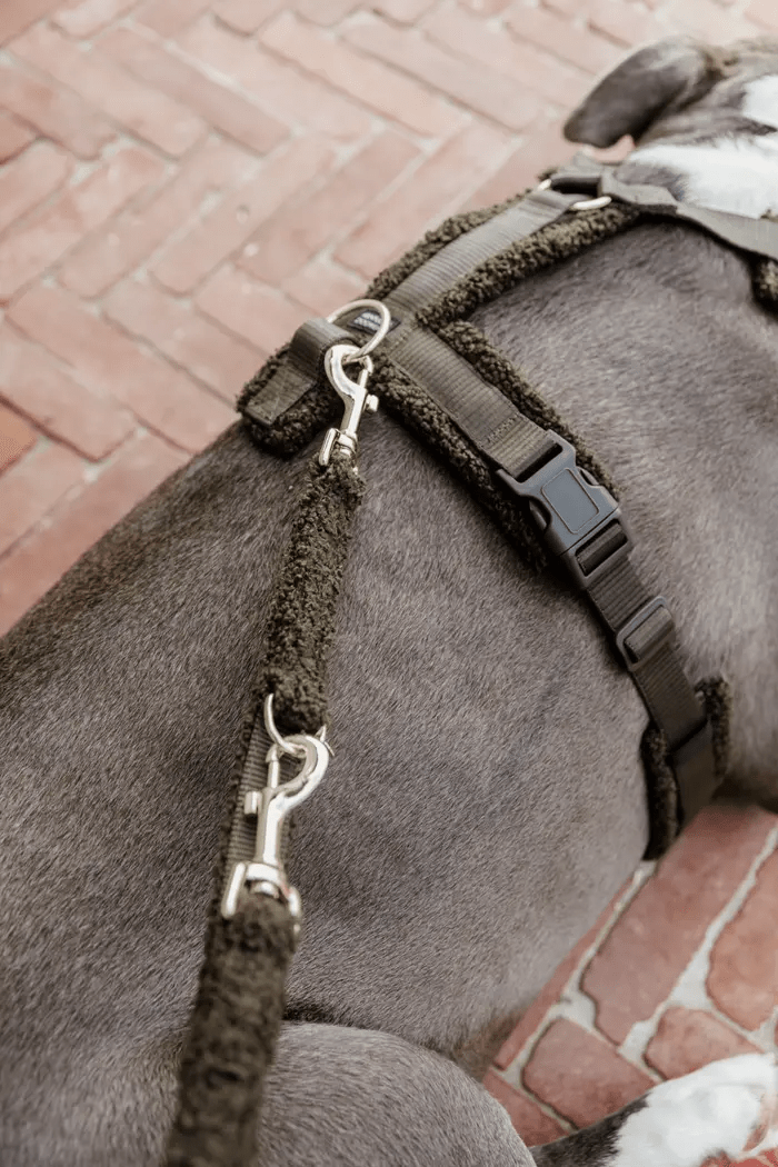 Leiband Teddy - Khaki – Leiband van Kentucky Dogwear | Hondenboetiek (afbeelding 3)