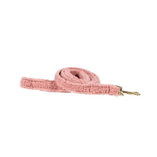 Leiband Teddy - Roze – Leiband van Kentucky Dogwear | Hondenboetiek