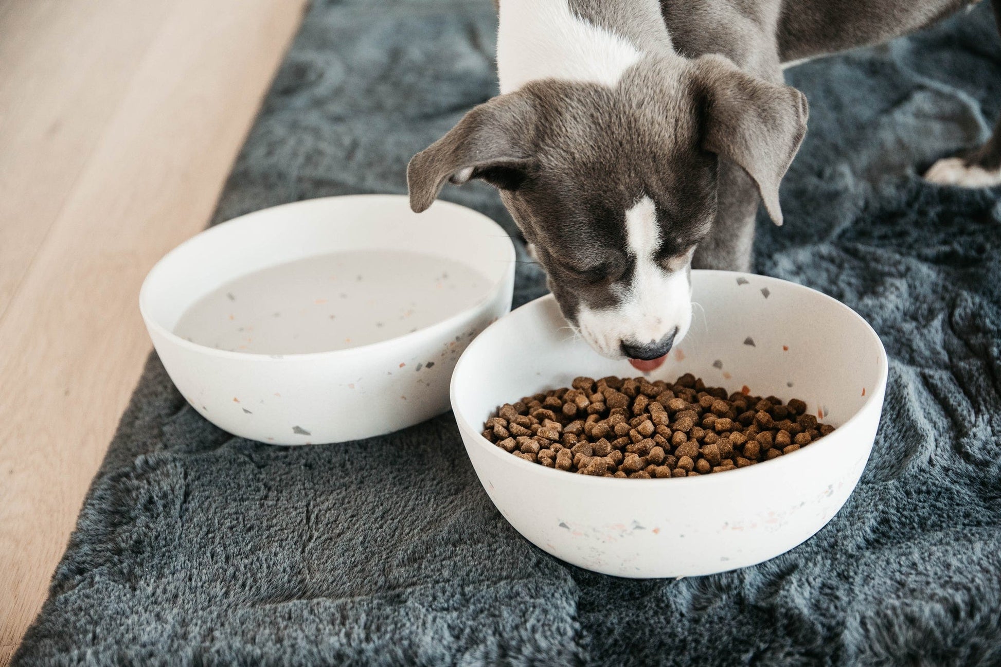 Hondenkom Bamboo Terrazo Wit – Voederen van Kentucky Dogwear | Hondenboetiek (afbeelding 4)