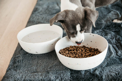 Hondenkom Bamboo Terrazo Wit – Voederen van Kentucky Dogwear | Hondenboetiek (afbeelding 4)