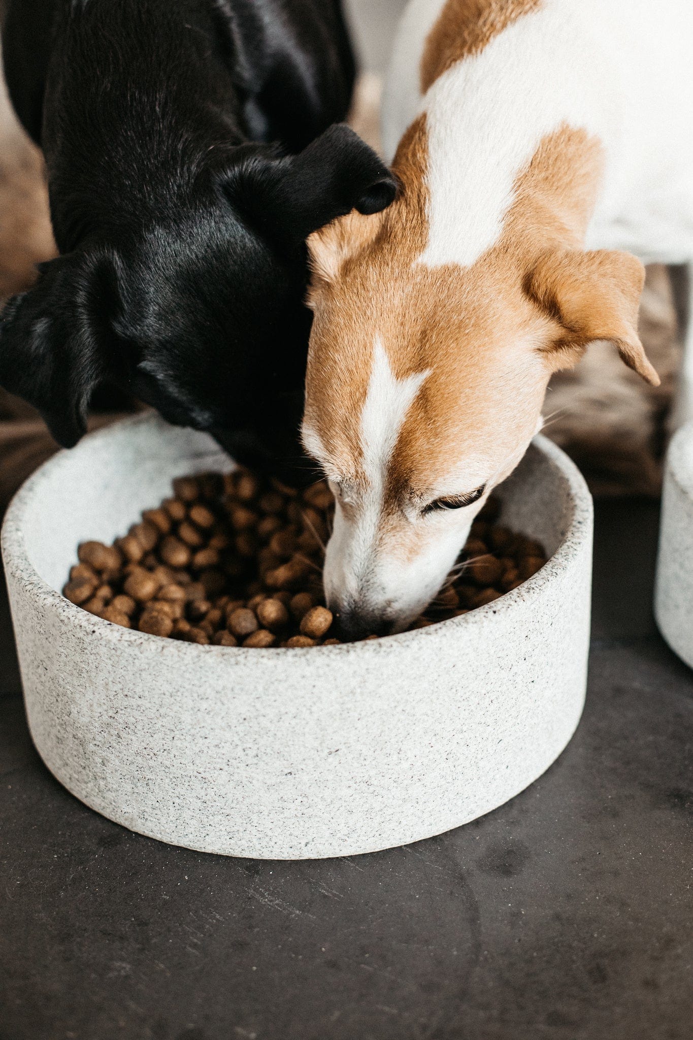 Hondenkom Graniet – Voederen van Kentucky Dogwear | Hondenboetiek (afbeelding 4)