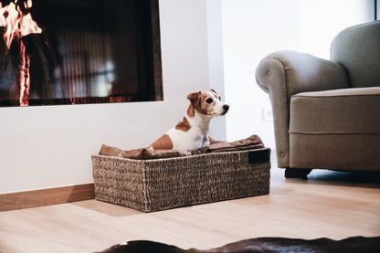 Hondenmand Basket – Hondenmand van Kentucky Dogwear | Hondenboetiek (afbeelding 2)