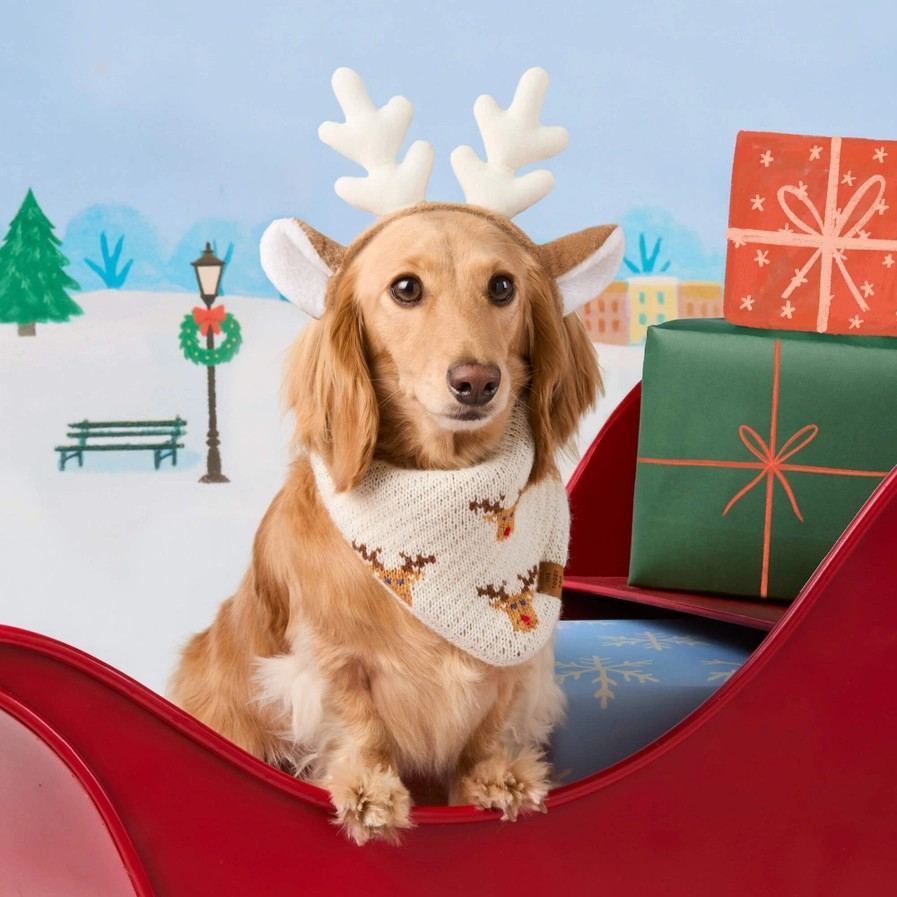 The Foggy Dog - Rendier Gebreide Hondenbandana