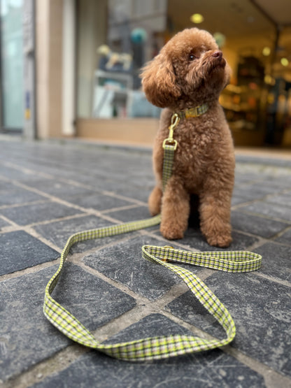 Halsband Carre Green – Halsband van MIEL | Hondenboetiek (afbeelding 2)