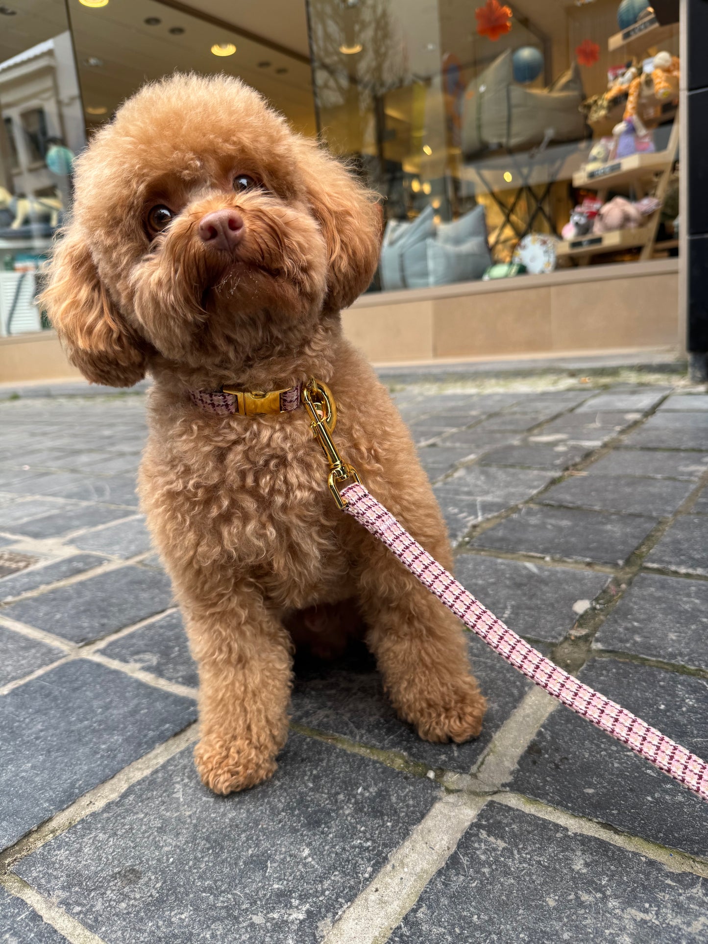 Halsband Carre Pink – Halsband van MIEL | Hondenboetiek (afbeelding 4)