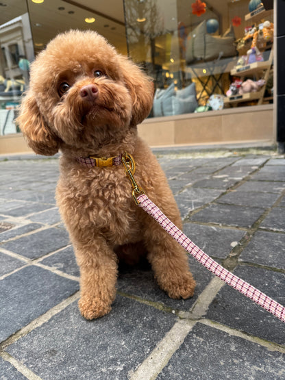 Halsband Carre Pink – Halsband van MIEL | Hondenboetiek (afbeelding 4)