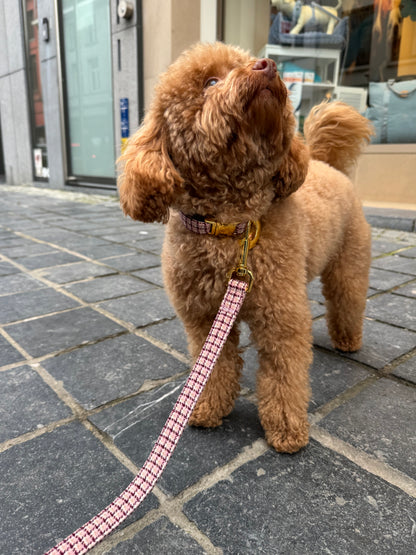 Halsband Carre Pink – Halsband van MIEL | Hondenboetiek (afbeelding 6)