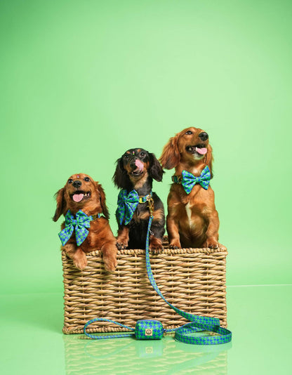 Forest Leiband – Leiband van Molly & Co. | Hondenboetiek (afbeelding 4)